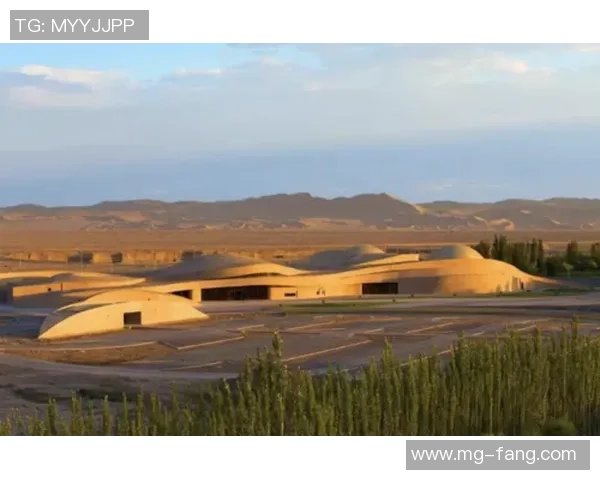 奥运会的遗产究竟是辉煌成就还是沉重负担的深思探讨