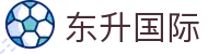 东升国际-科技赋能场景,让娱乐更有趣.